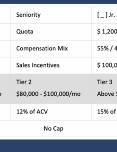 Free Comp Plan Template Doc