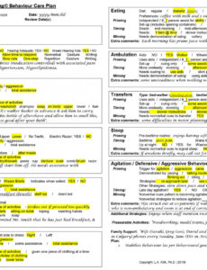 Editable Dementia Care Plan Template Word