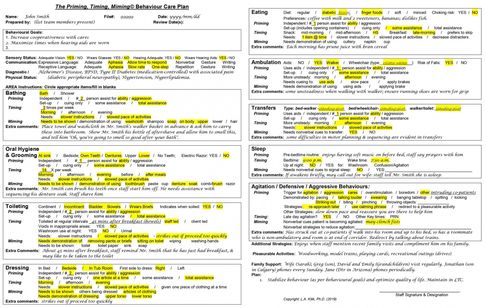 Editable Dementia Care Plan Template CSV