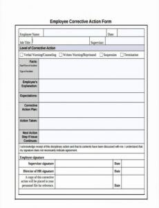 Printable Employee Corrective Action Plan Template Doc
