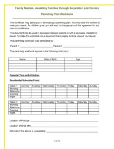 Joint Custody Parenting Plan Template Sample