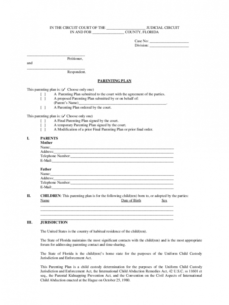 Printable Parenting Plan Template Florida CSV