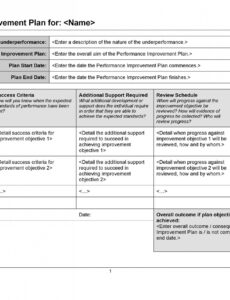 Printable Program Improvement Plan Template Word