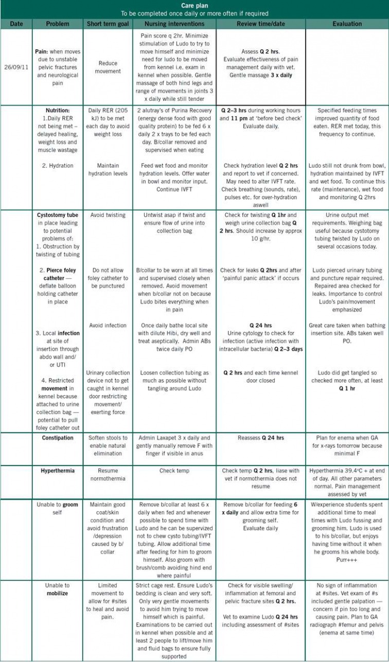 Free Restricted Health Care Plan Template Docs