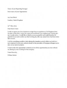 Printable Software Developer Resignation Letter Sample