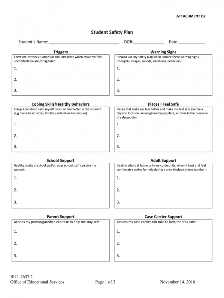 Editable Student Safety Plan Template Excel