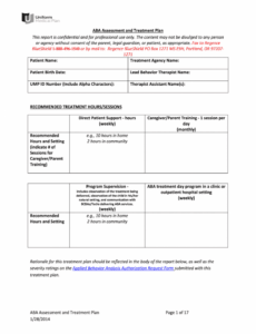 Aba Behavior Plan Template Docs