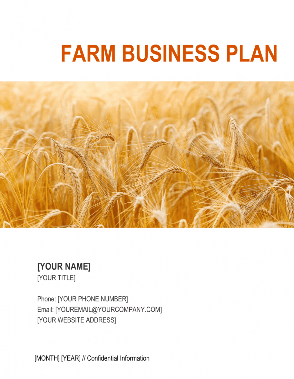  Agricultural Business Plan Template Excel