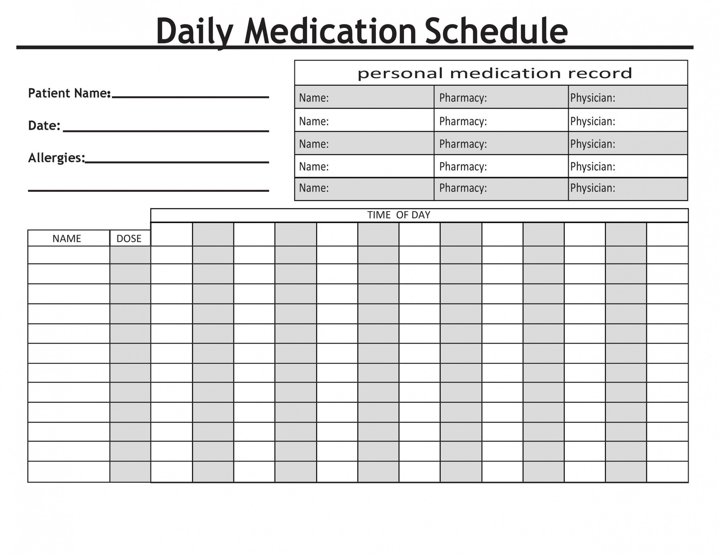  Daily Medicine Schedule Template PPT