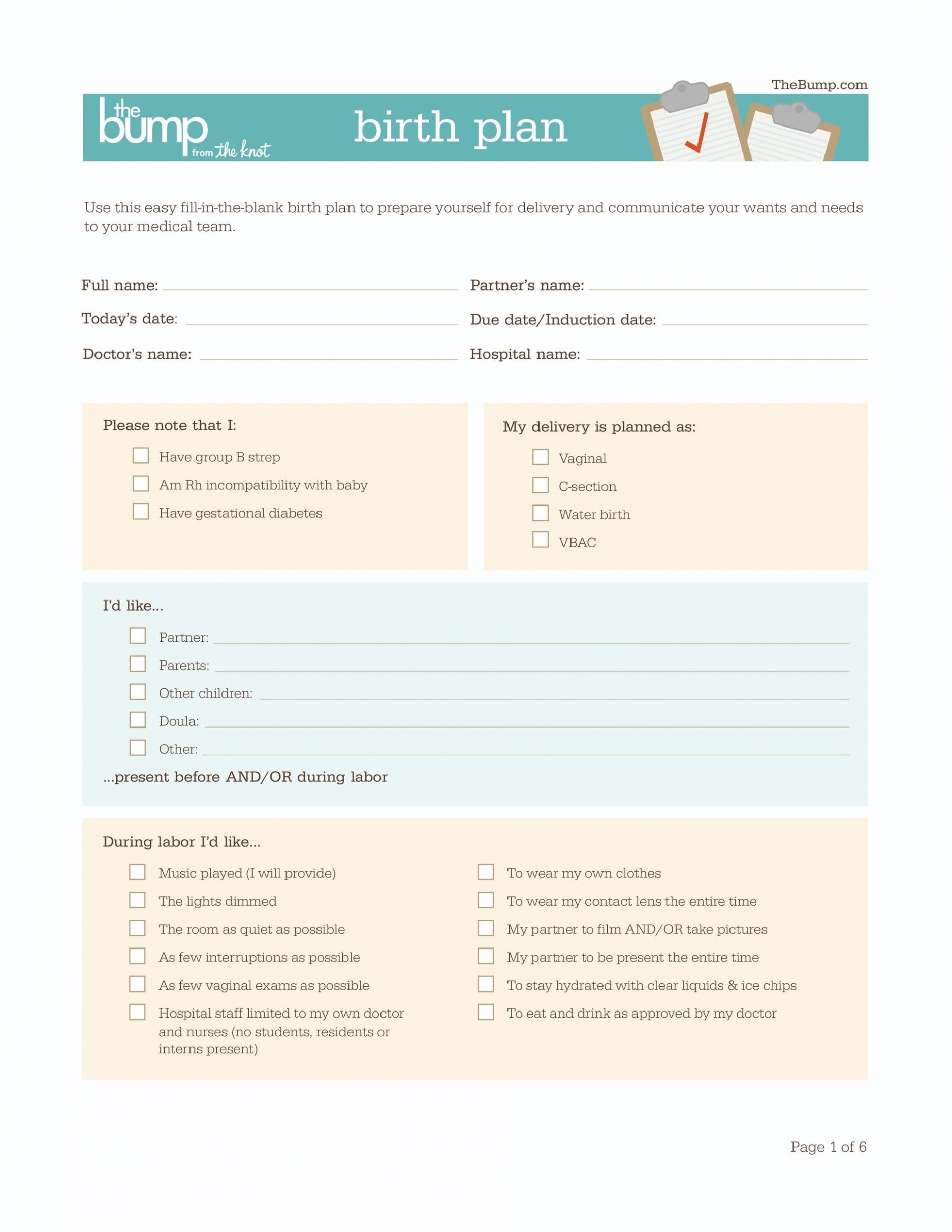 Editable Doula Birth Plan Template PDF
