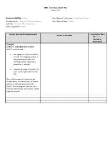 Editable Remediation Action Plan Template Word