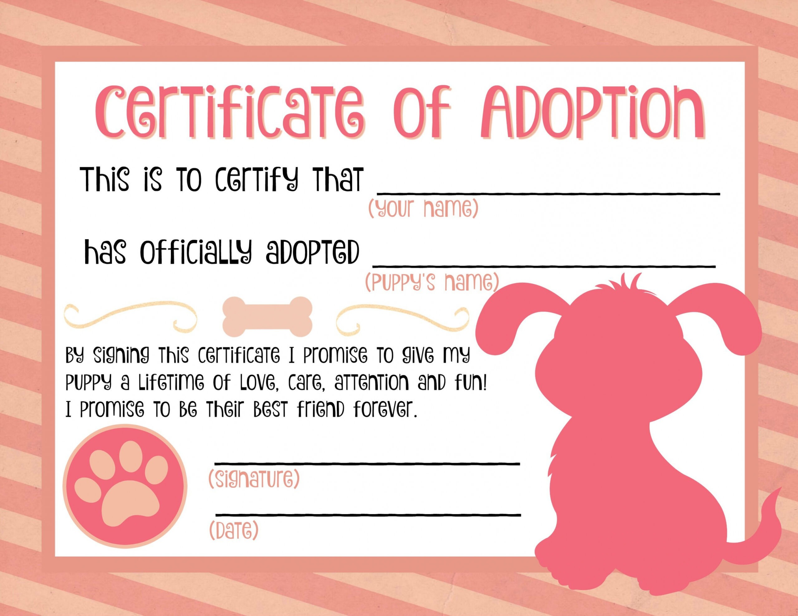Sample Animal Adoption Certificate Template PDF