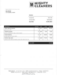 Printable Cleaning Company Invoice Template PPT