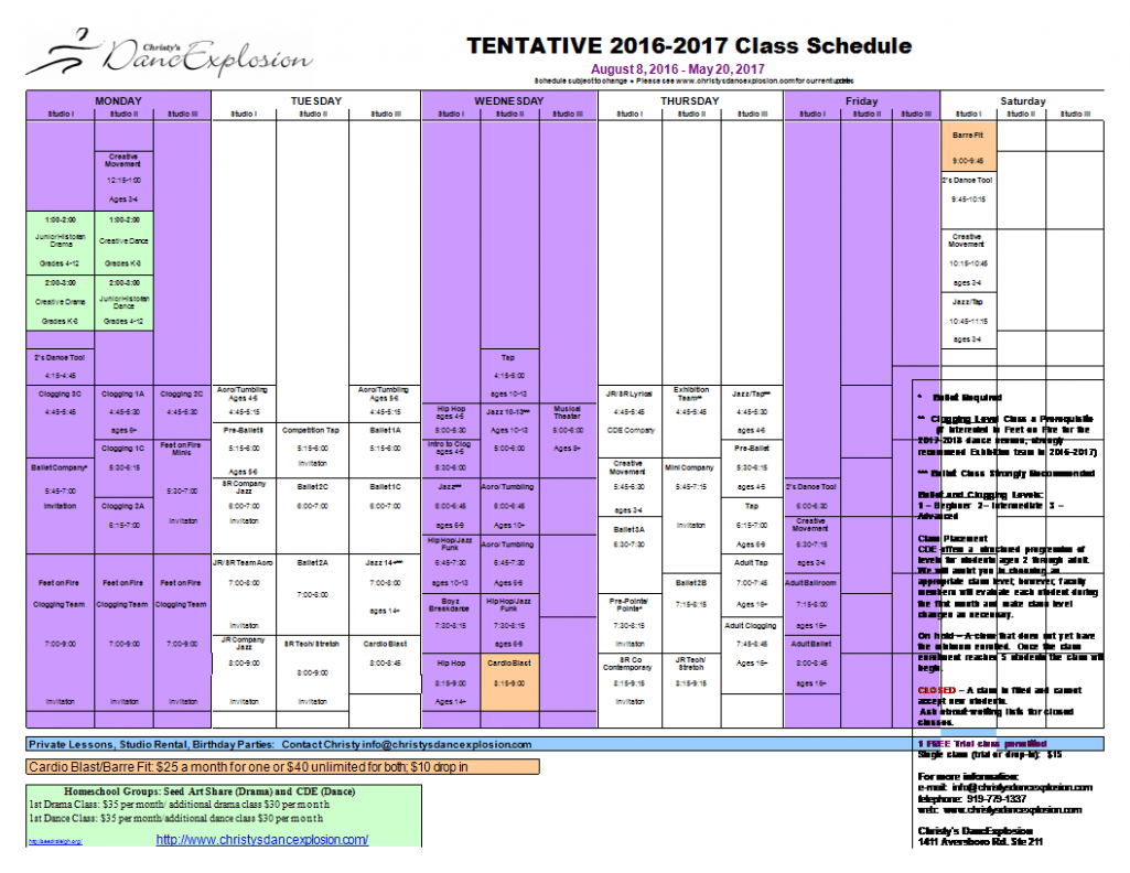 Free Dance Studio Schedule Template PPT