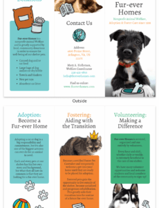 Editable Non Profit Animal Rescue Business Plan Template CSV