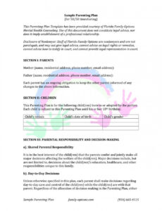 Printable Parenting Plan Template Florida Docs