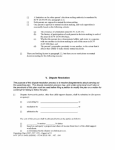 Parenting Plan Template Washington State Word