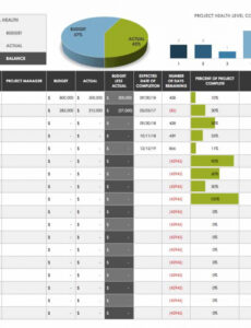 Free Portfolio Management Plan Template Doc