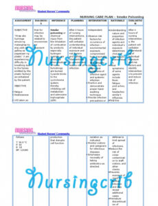 Smoking Care Plan Template Word