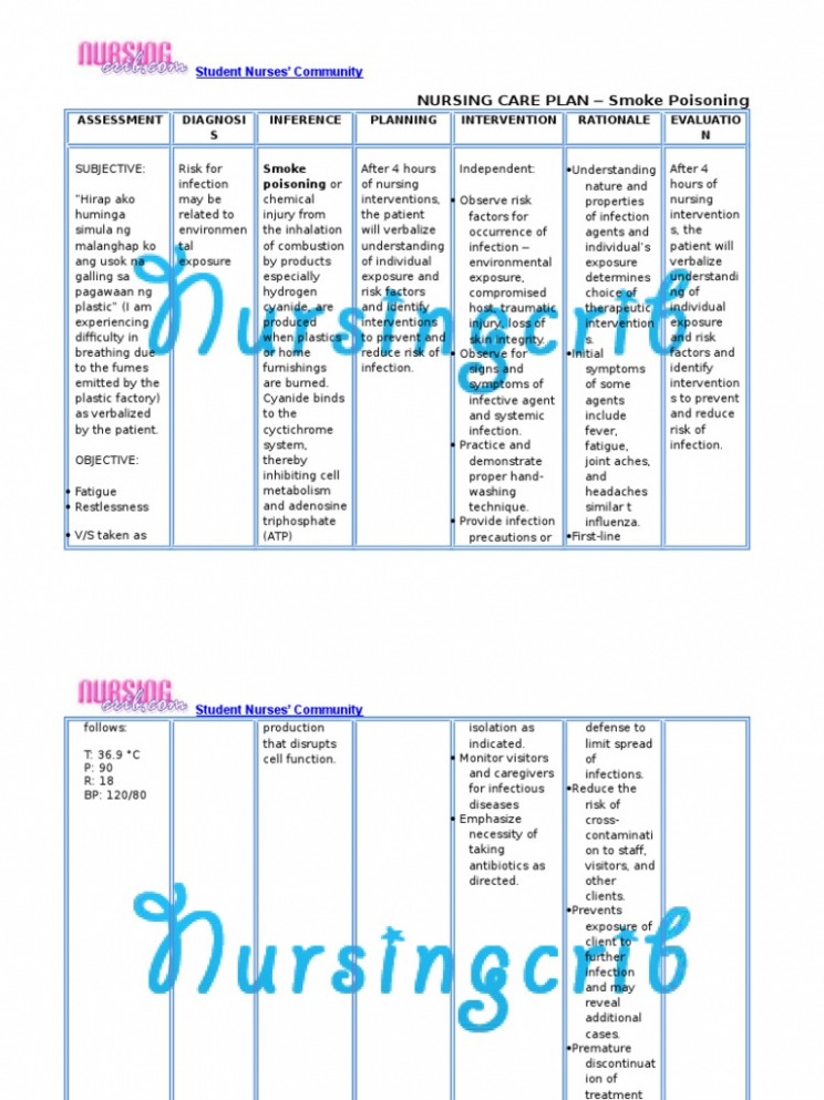 Printable Smoking Care Plan Template Excel