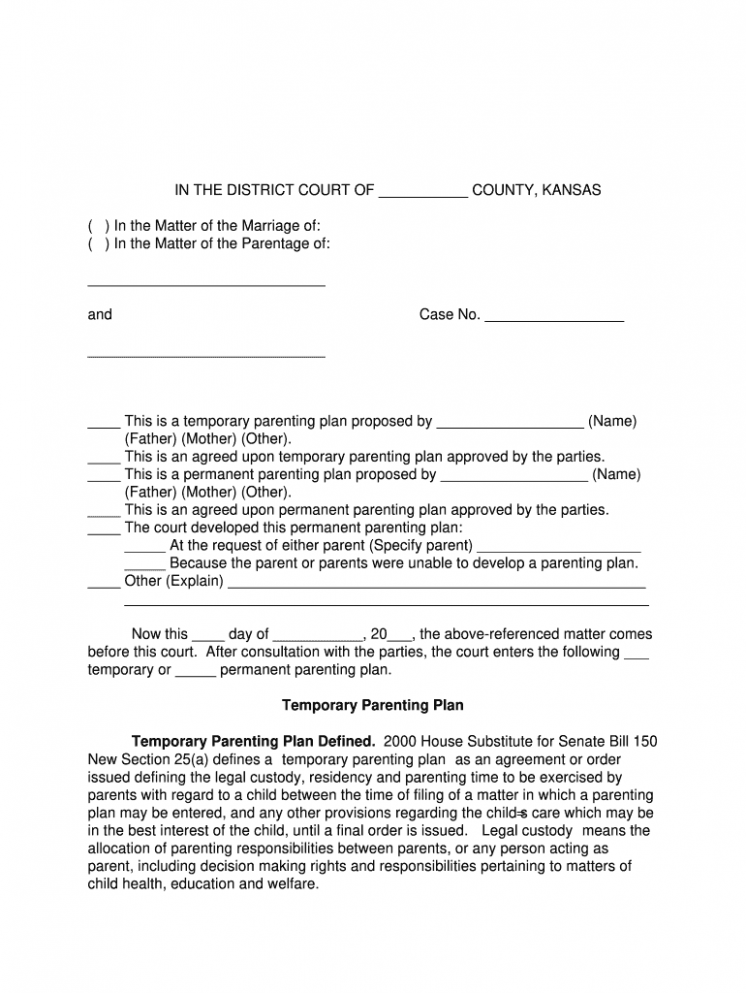 Printable Temporary Parenting Plan Template Excel