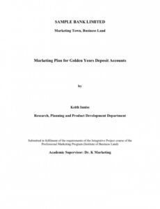 Editable Bank Marketing Plan Template Docs