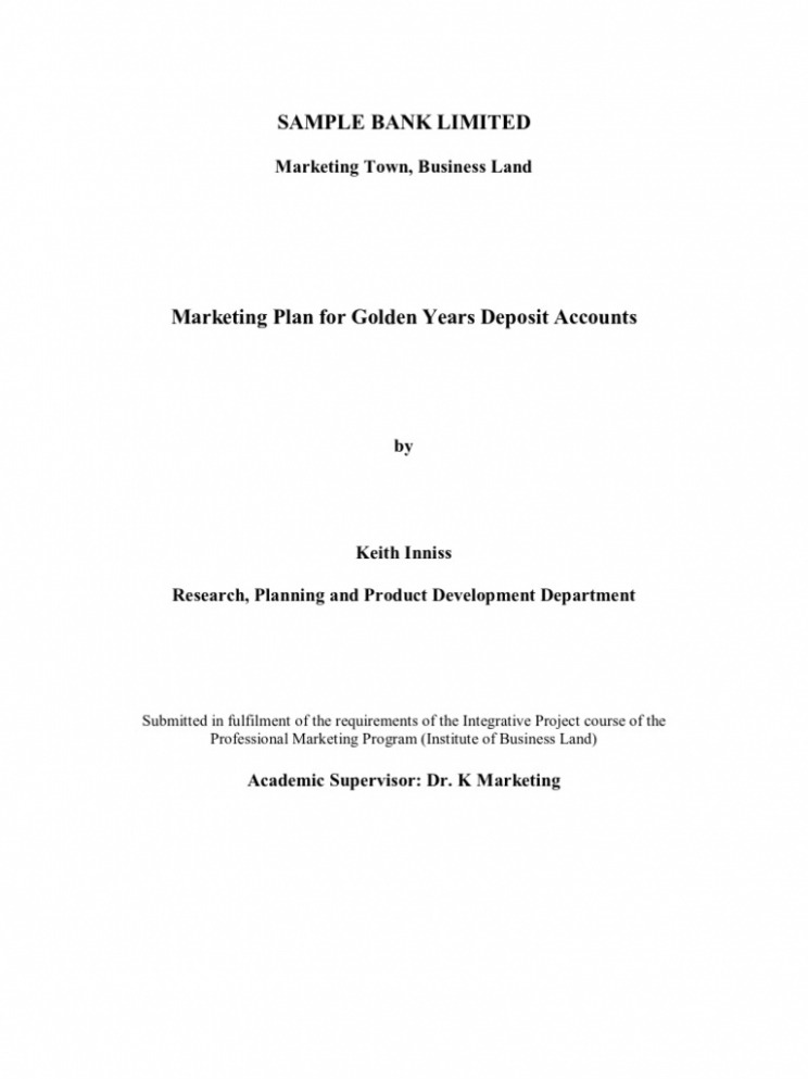  Bank Marketing Plan Template Doc