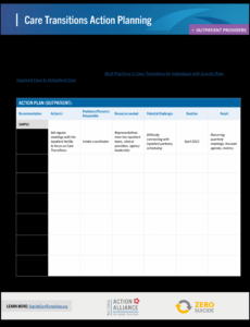 Free Care Transition Plan Template Word