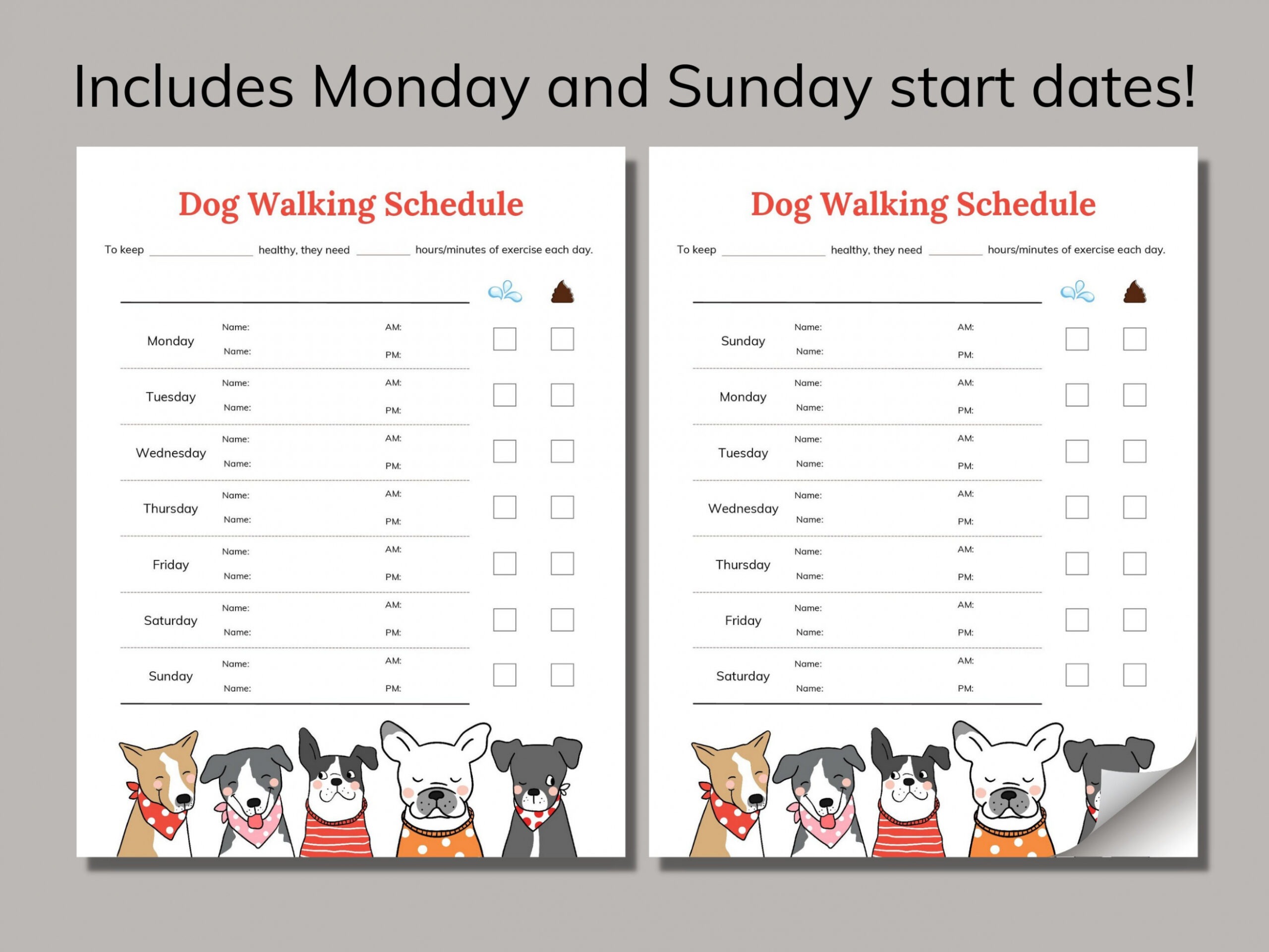 Editable Dog Walking Schedule Template Sample