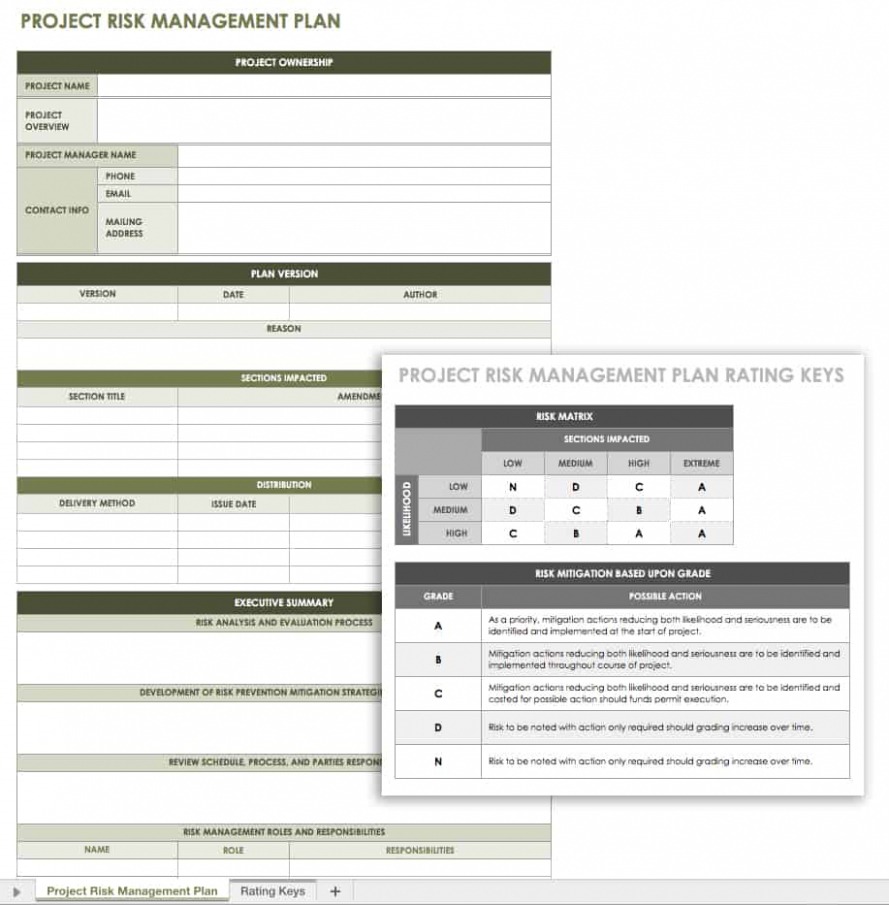 Free Enterprise Risk Management Plan Template Excel