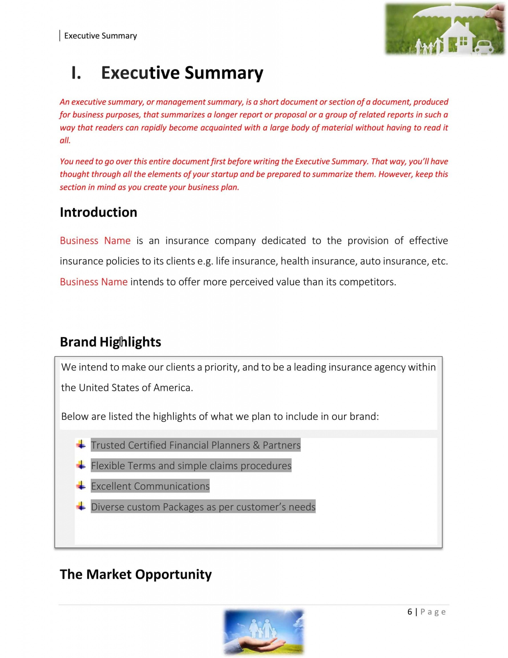 Free Insurance Agency Business Plan Template Docs