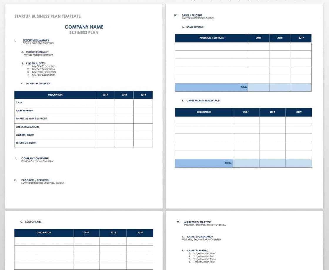 Editable Investor Business Plan Template PPT