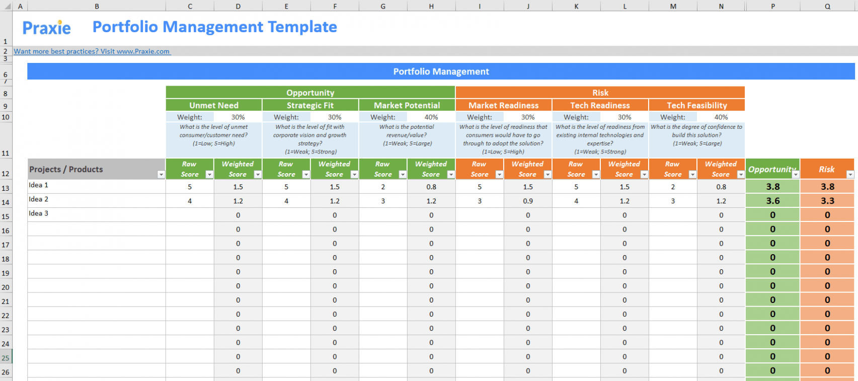  Portfolio Management Plan Template Doc