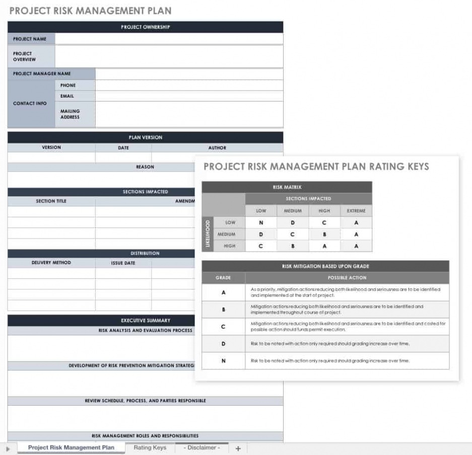  Program Management Plan Template PDF