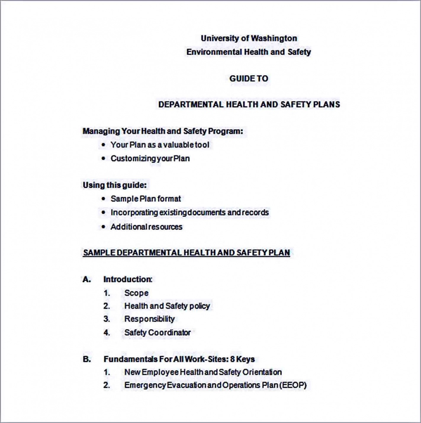 Editable Safety And Health Plan Template Docs Editable Safety And Health Plan Template Docs