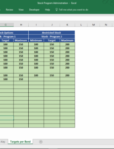 Free Stock Option Plan Template Word