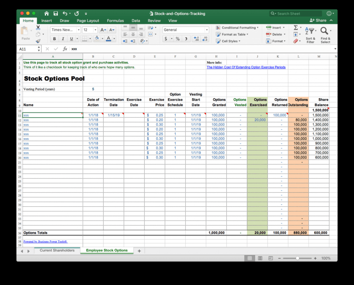 Printable Stock Option Plan Template Excel