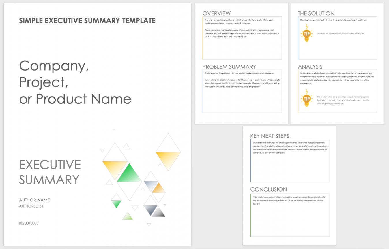 Free Summary Plan Description Template PPT