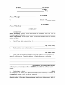 Sample Temporary Restraining Order Template Docs