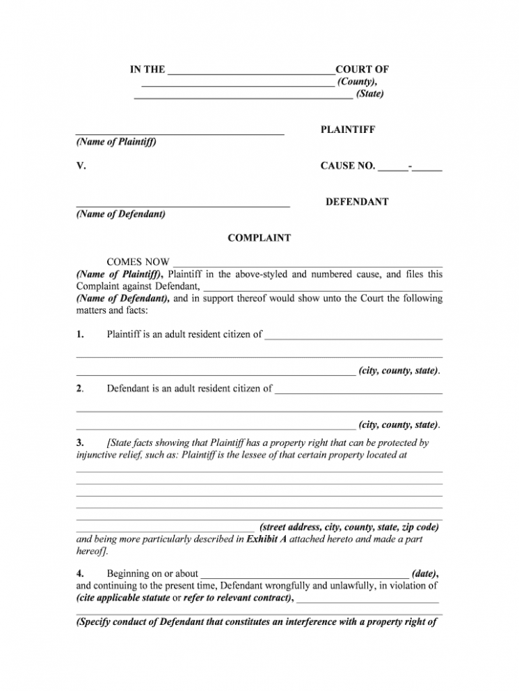 Editable Temporary Restraining Order Template PPT Editable Temporary Restraining Order Template PPT