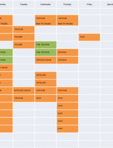 Free  Spark  Yorku Pdf Example