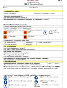Free Printable Risk Assessment Memo Template Doc