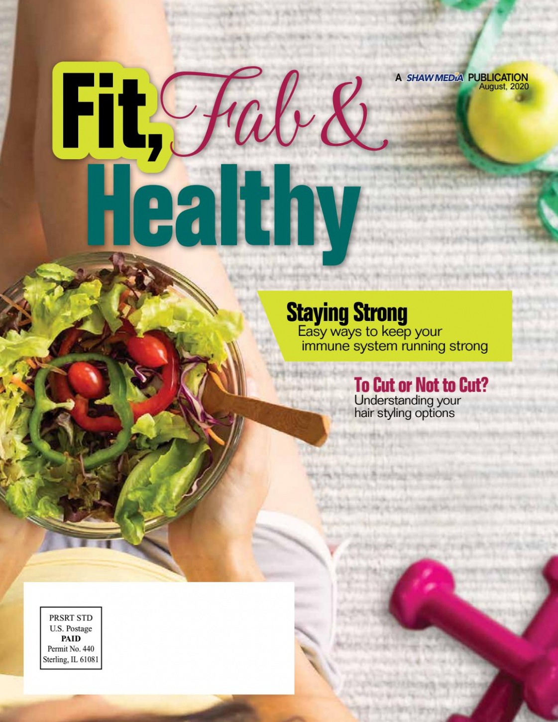 health &amp; wellness professional directory 20202021 by shaw media  issuu excel example